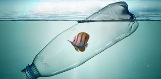 microplastics in the ocean