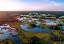 A world without wetlands is a world without water Wetlands