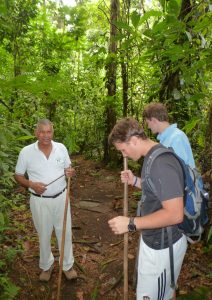 Could financial incentives help preserve tropical forests?