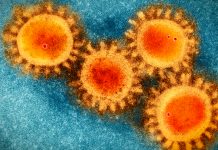 The social and economic consequences of antimicrobial resistance