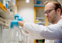 The role of molecular chaperones in Parkinson’s disease molecular chaperones