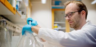 molecular chaperones