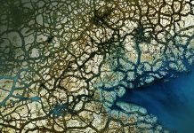 Developing solutions to agricultural runoff and water contamination water contamination