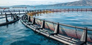 Aquaculture licensing