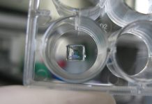 Why innovation in biomaterials is key to the success of bioprinting