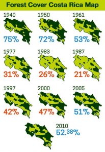 Could financial incentives help preserve tropical forests?