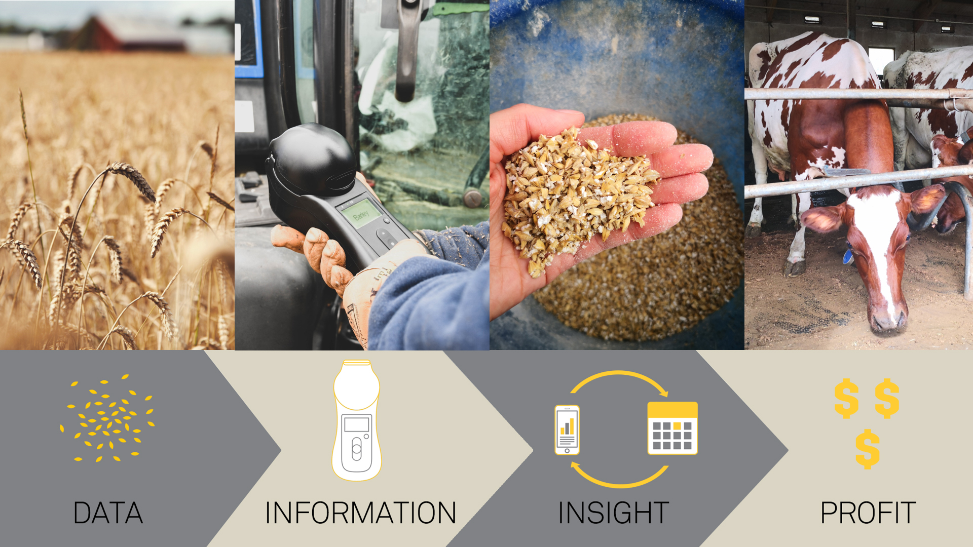 Innovation in animal feed practices to increase the profitability of farms