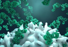 Scientists reprogramme ancient enzyme for sustainable biotechnology sustainable biotechnology