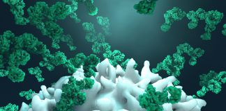 sustainable biotechnology