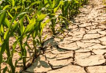 New app to promote sustainable water management in agriculture water management