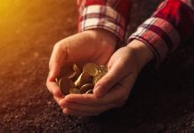 The future of agriculture – organic farming innovation organic farming innovation