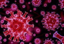 Scientists develop quicker, more cost-effective COVID-19 laboratory test COVID-19 laboratory test