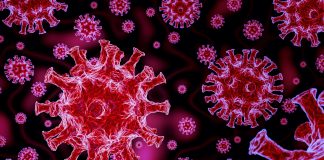 COVID-19 laboratory test