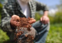 Why healthy soil is crucial to nature friendly farming healthy soil