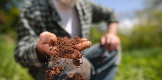 healthy soil