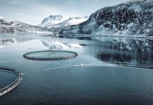 Virginijus Sinkevičius: How to deliver a sustainable blue economy sustainable blue economy