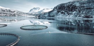 sustainable blue economy