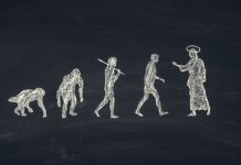 Teaching evolution in schools and colleges – a clash with religious beliefs? Teaching evolution in schools