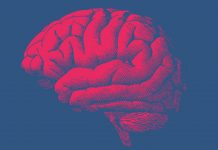 Characterising glioblastoma brain cancer cells for efficient treatment glioblastoma brain cancer