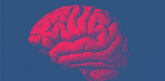 glioblastoma brain cancer