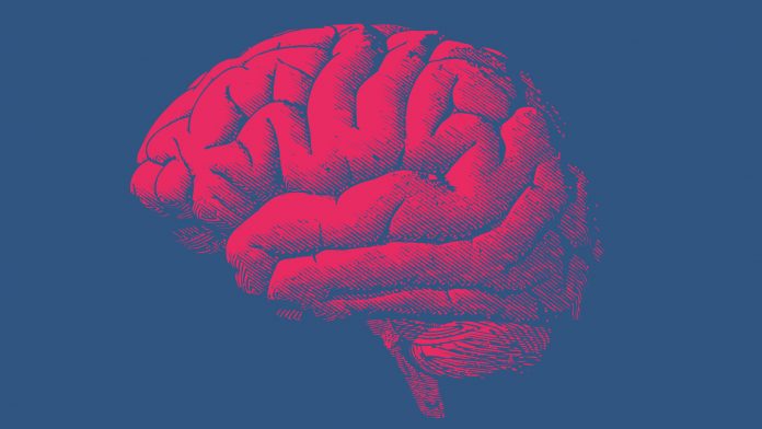 glioblastoma brain cancer