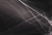 Scientists create a new biodegradable glue from synthetic spider silk synthetic spider silk