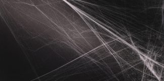 synthetic spider silk