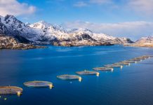 Aquaculture and the blue bioeconomy blue bioeconomy