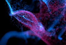 Small groups in Big Science: hunting the laws of the Universe Big Science