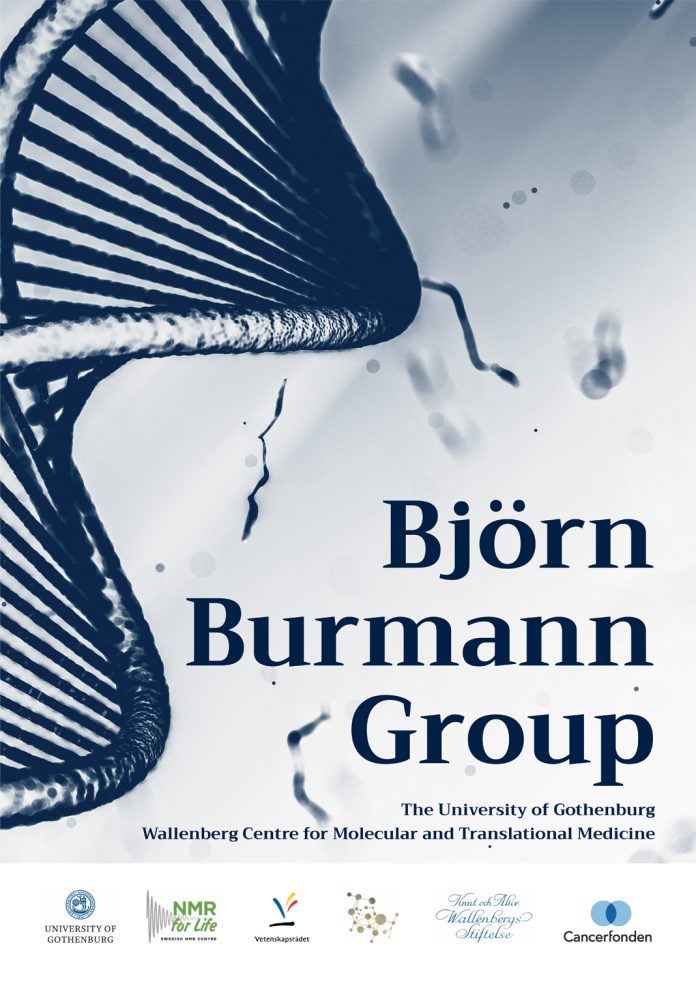 Investigating protein function for disease prevention