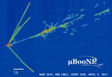 ArgonCube – Lego for the world of cryogenic neutrino detectors neutrino detectors