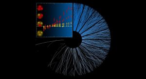 heavy-ion experiments