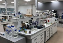 Sustainable innovation and the role of interdisciplinary collaboration Sustainable innovation