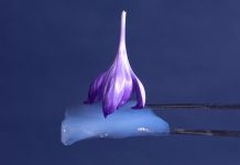 Innovation in silica aerogels – solutions to insulation and energy storage silica aerogels