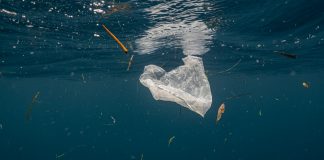 Plastic removal strategies