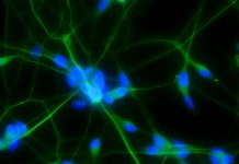 innovation in biomaterials