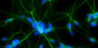 innovation in biomaterials