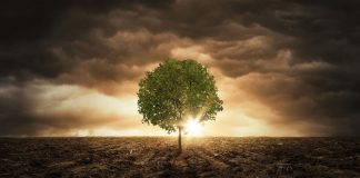 Climate change and biodiversity