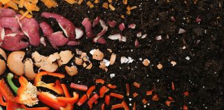 development of biomaterials