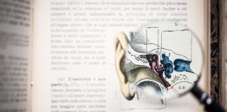 computational auditory model