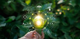 perovskite solar cells