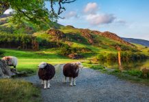 UK commits to protecting 30% of natural environment by 2030 natural environment