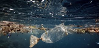 plastics in the Atlantic Ocean