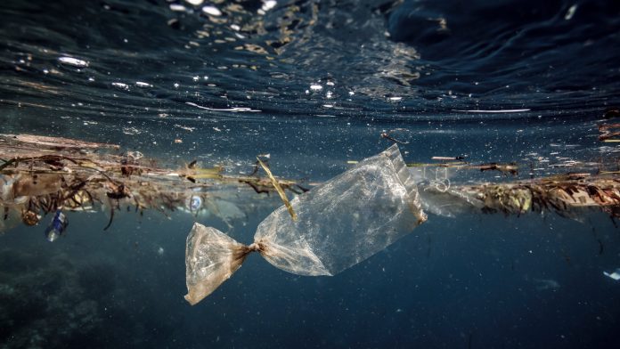 plastics in the Atlantic Ocean