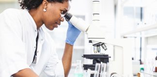 quality of bioscaffolds