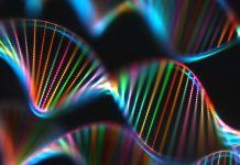 New algorithm to improve the efficiency of synthetic biology experiments synthetic biology