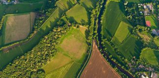 European biodiversity