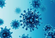 Structural biology to further innovation in SARS-CoV-2 antivirals SARS-CoV-2 antivirals