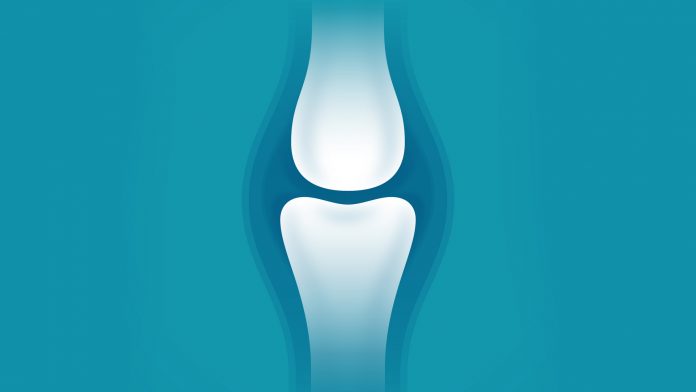 generate new tissues