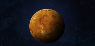 habitability of Venus